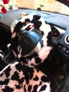 Fuzzy cow print seat covers deals